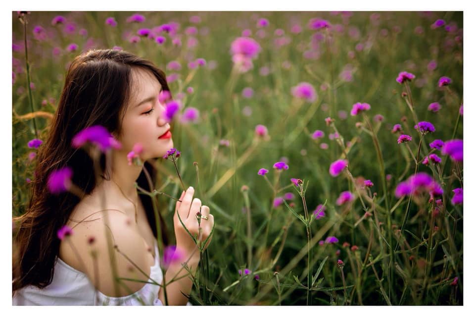 Ngay[-]Fansipan[-]thôi,[-]đủ[-]thấy[-]châu[-]Âu[-]tím[-]biếc[-]nên[-]thơ